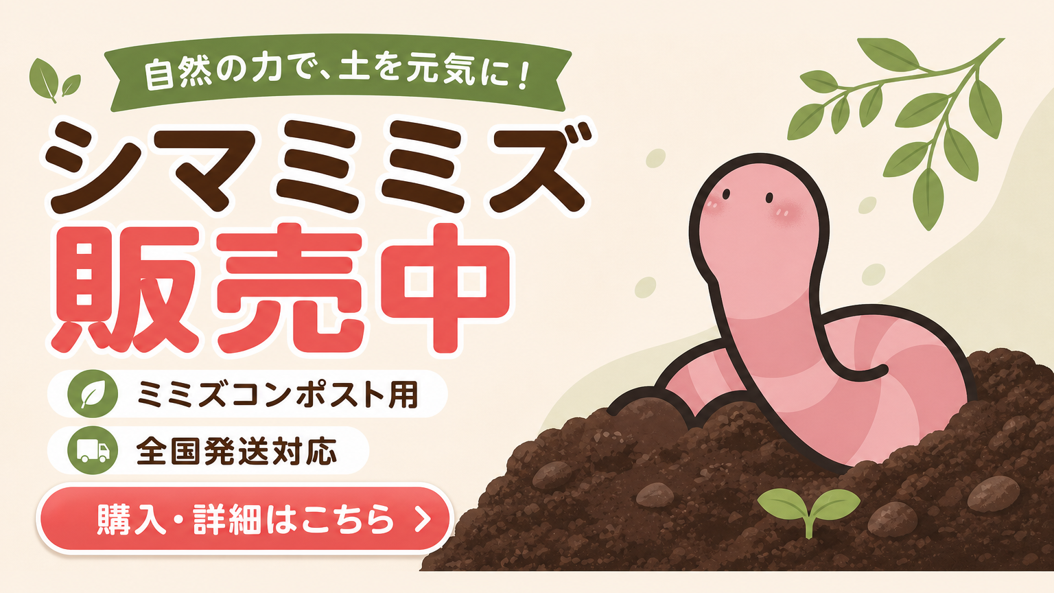 シマミミズ販売中 ミミズコンポスト用 全国発送対応 購入・詳細はこちら