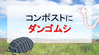 生態 新潟ミミズ情報局 ミミズコンポストのすゝめ